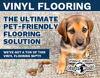 Carpet World Pet Friendly Solutions